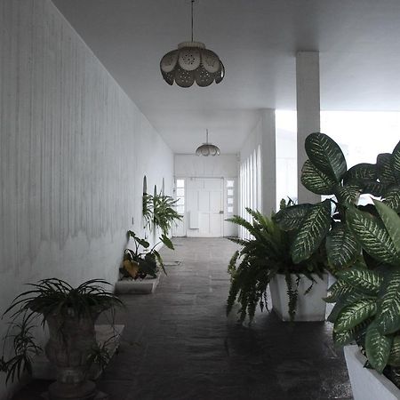 Allende 304 Hostel Aguascalientes Kültér fotó