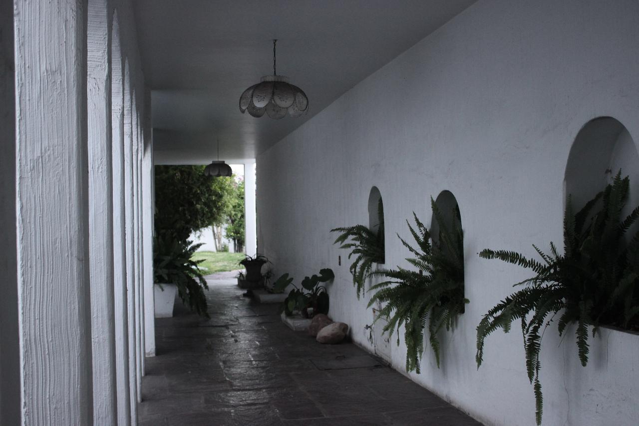 Allende 304 Hostel Aguascalientes Kültér fotó